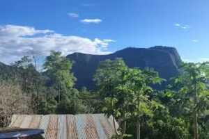 Condominio Los Naranjos