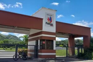 CONDOMINIO PALMA REAL