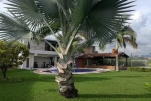 Condominio Residencial El Paraiso