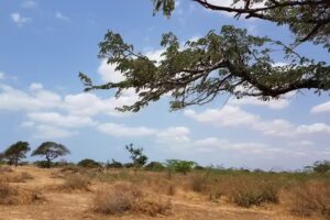 Condominio Villa Traxal