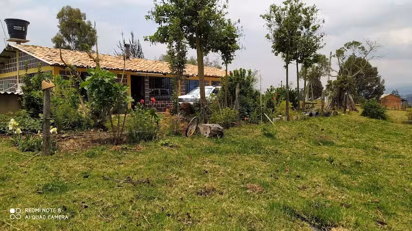 CONJUNTO LOS PRIETOS