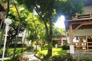 Conjunto Puesta del Sol