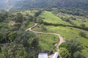 Conjunto Reservas del Paguey