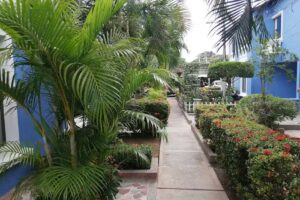 Conjunto residencial Buenos Aires