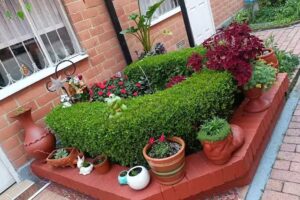 Conjunto Residencial Terrazas de Castilla 2