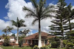 Conjunto Villa De Los Candeleros