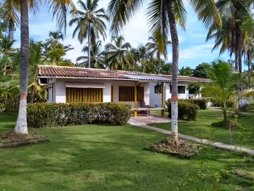 Corales de playa blanca
