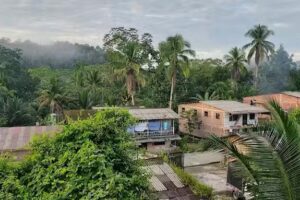 Corporación Anchicayá Biodiversa
