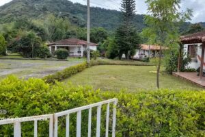 Corporaci&oacute;n Taurina, Urbanizaci&oacute;n