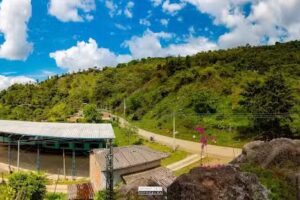 Corregimiento de Albania, La Vega Cauca