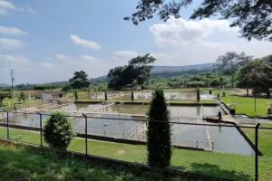 Corregimiento San Pedro