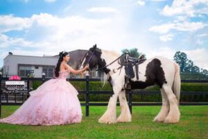 Criadero de Santa Rosa