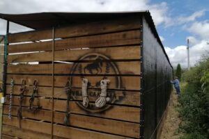 Criadero Villa camelia Combita