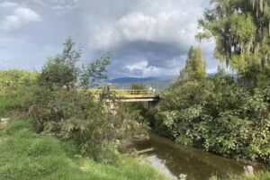 CRUCE CRA 4 FIRAVITOBA