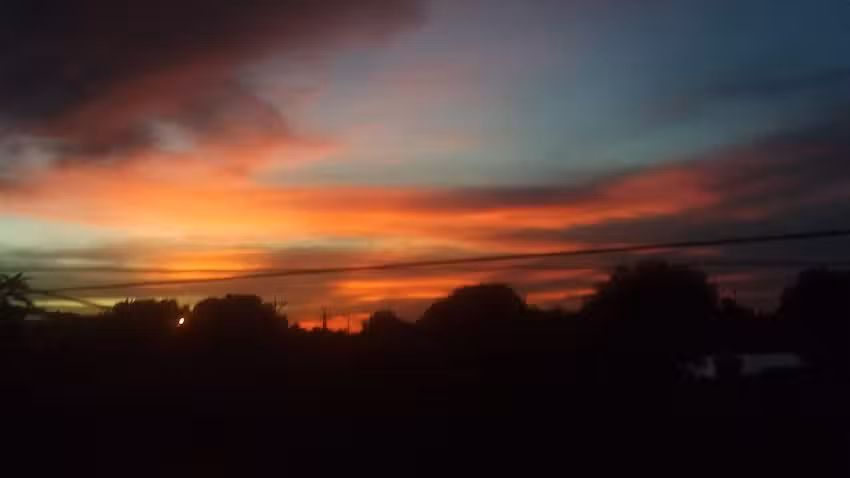 Daniela de Jes&uacute;s M&eacute;ndez Gazc&oacute;n