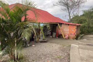 DESVI&Oacute; PARA LA VEREDA EL CARMEN
