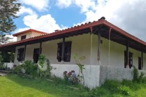 Diego and Andrea&rsquo;s