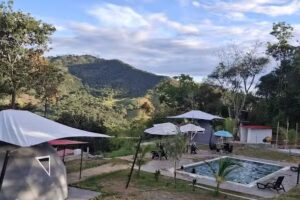 Domos Casa del &aacute;rbol