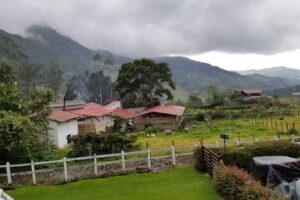 Donde Juan B Bosques de Cocora Valle De cocora