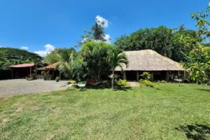 Donkey Sunrise &ndash; Moto ADV Hub