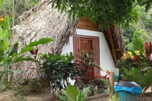 Eco Hotel Amanecer Tayrona