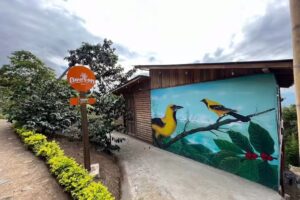 Eco Hotel Bourbon