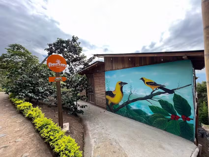 Eco Hotel Bourbon