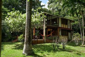 Eco Hotel Ceiba Bonga
