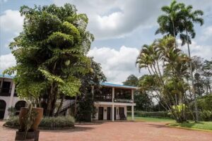 Eco Hotel Las Orqu&iacute;deas