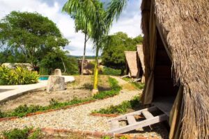 Eco Hotel y Glamping | Parque del Mango