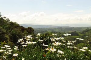 Ecohotel Bordones: Utaki Estancia de Bienestar, Isnos, Huila