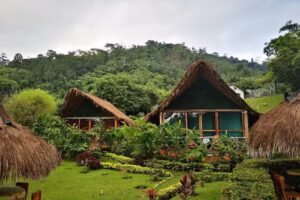 EcoHotel Brisas De La Sierra