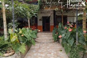 ECOHOTEL LA FLORESTA