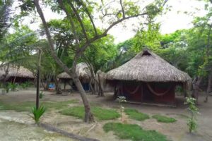 EcoHotel Las Palmeras