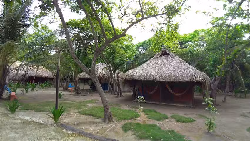 EcoHotel Las Palmeras