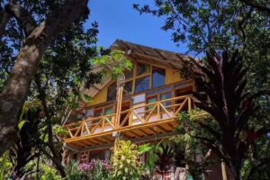 Ecohotel Manu Viajeros