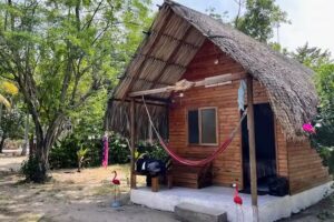 Ecohotel Palma Plata