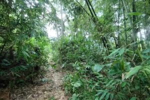 Ecohotel Refugio Mi Paraiso