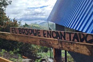 Ecoparque Las Cintas