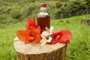 Ecoturismo, Turismo sostenible CORPOINTEGRAL CEIBAS, Neiva