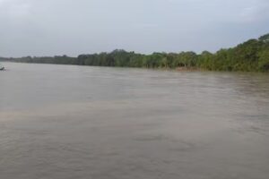 EFECTY META, HOTEL LOS COLONOS