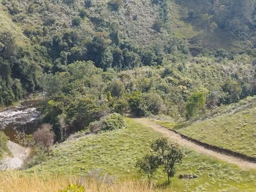El Bohio