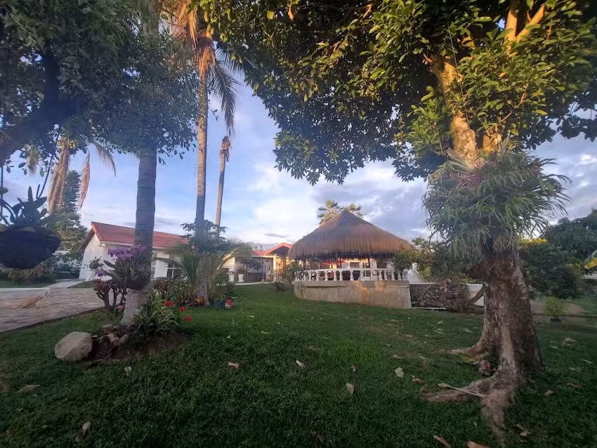 El Bongo de Chinauta