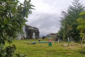 El Bosque De La Luna