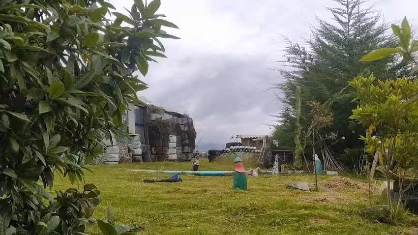 El Bosque De La Luna