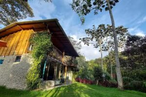 El bosque de las hadas