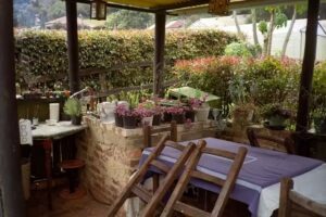 El Bosque de los Alisos