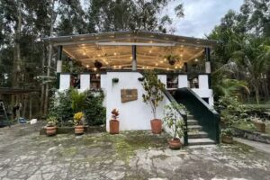 El Bosque Hostel