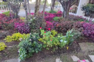 El Ca&ntilde;a Bravo, Casona