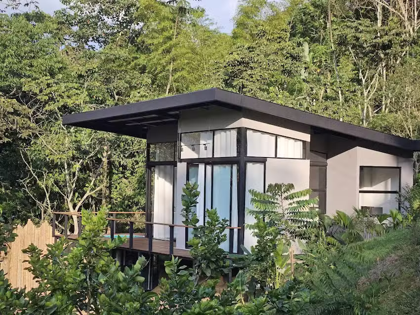 El Canto de Las Aves